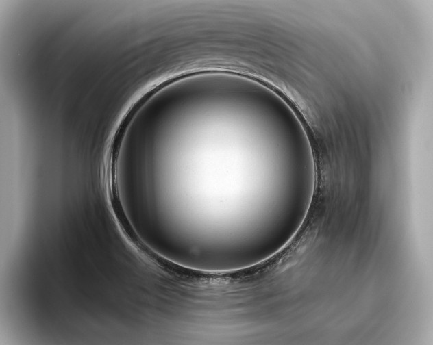 X0000094381515200711021217