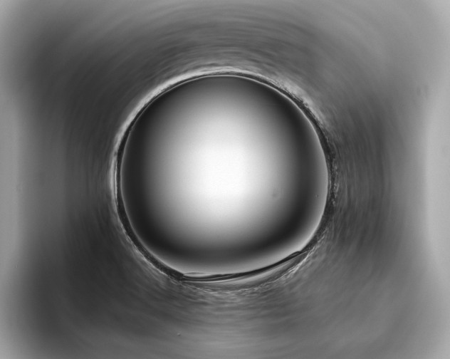 X0000094381516200711021217