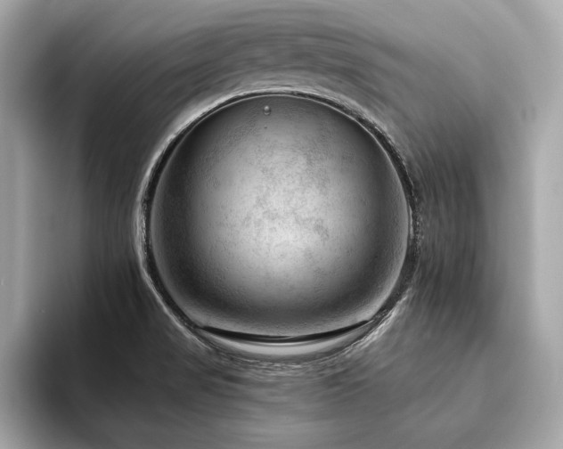 X0000094381517200711021217