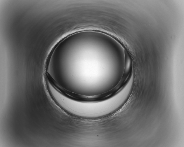 X0000094381518200711021217