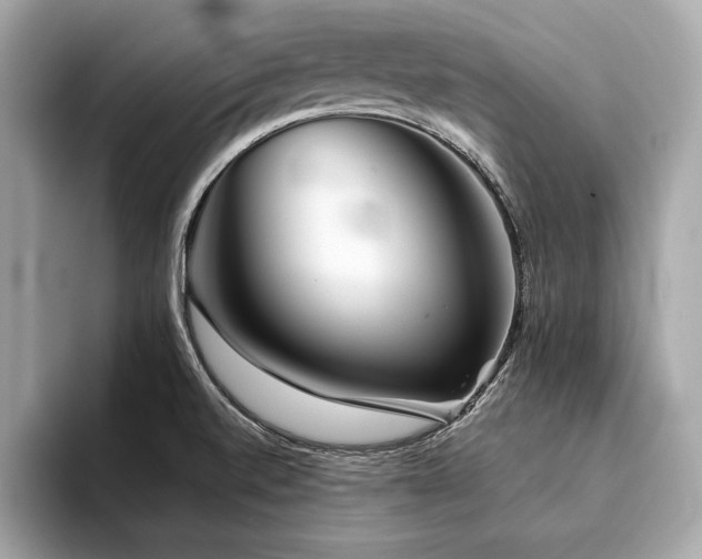 X0000094381520200711021217