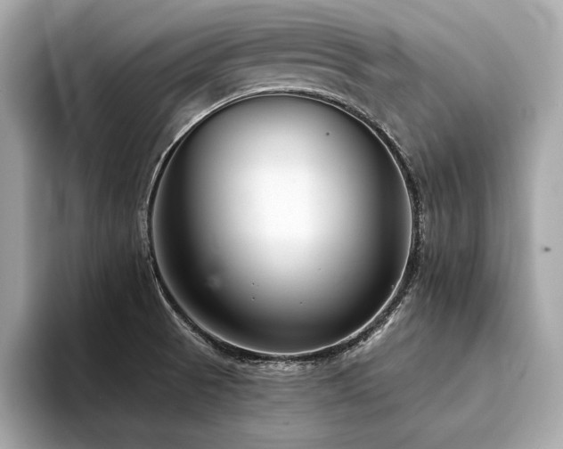 X0000094381521200711021217