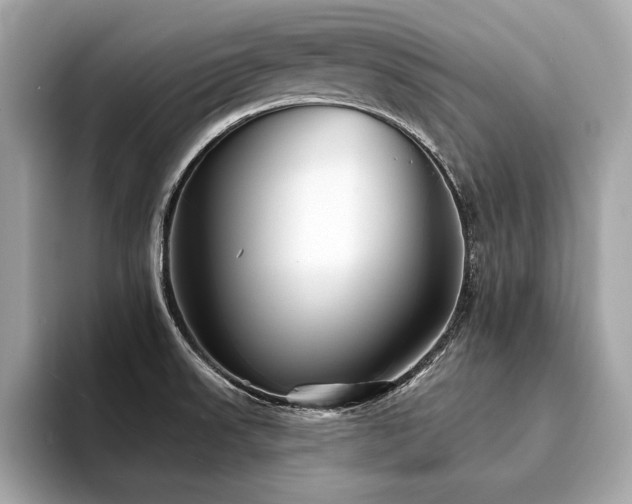 X0000094381523200711021217