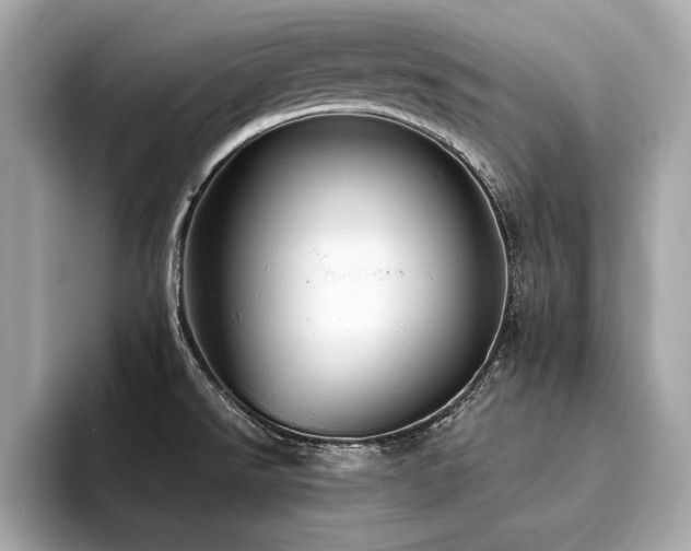 X0000094381526200711021217