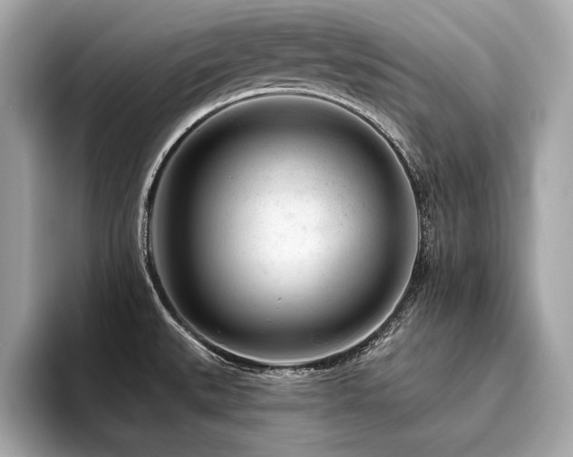 X0000094381527200711021217