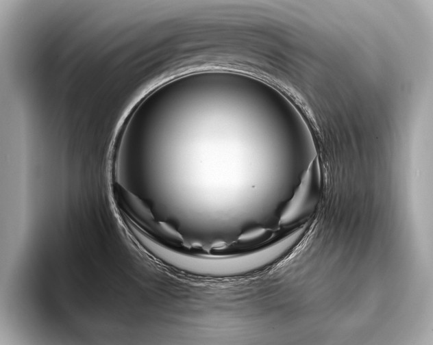 X0000094381530200711021217