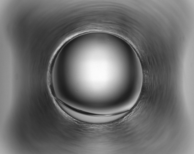 X0000094381531200711021217