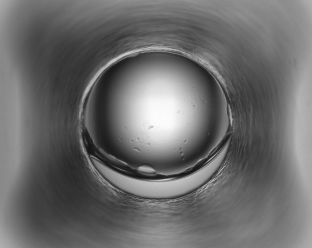 X0000094381532200711021217