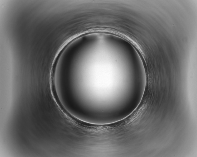 X0000094381533200711021217
