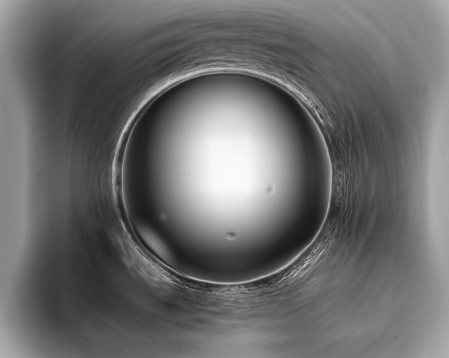X0000094381535200711021217