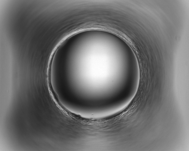 X0000094381536200711021217