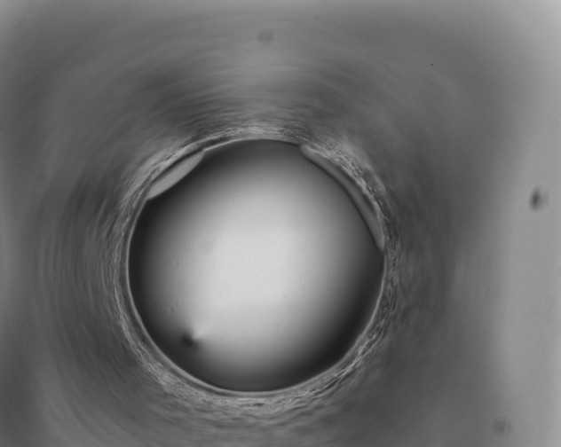 X0000094380001200711091612