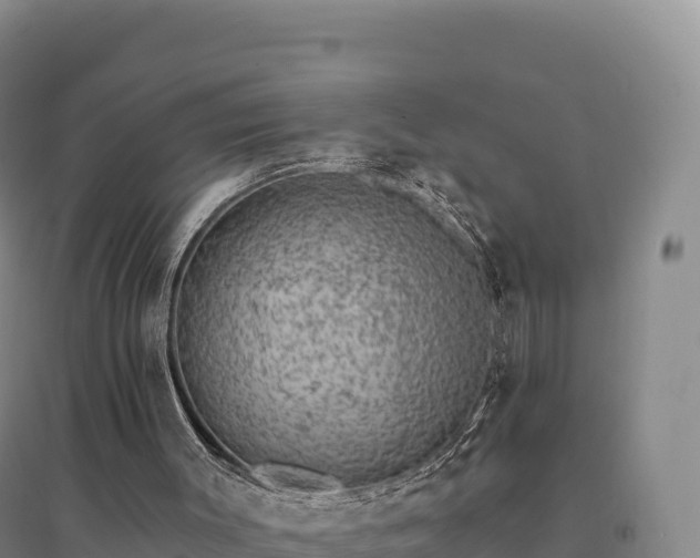 X0000094380003200711091612