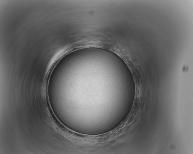 X0000094380004200711091612