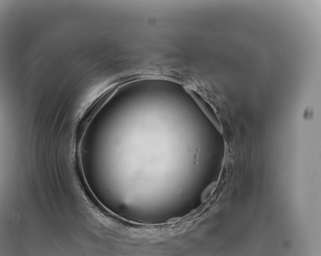 X0000094380005200711091612