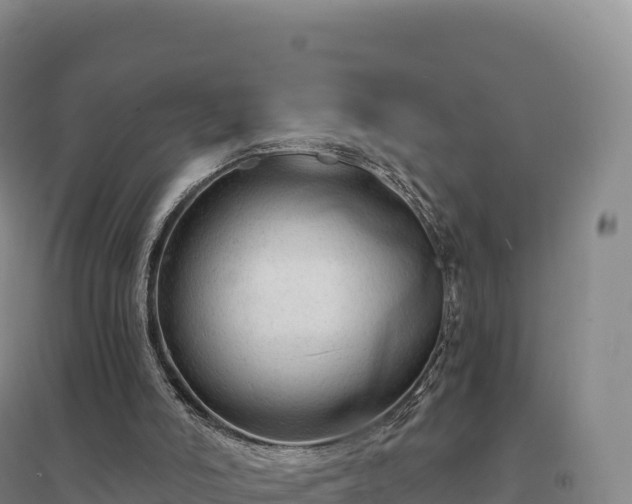 X0000094380006200711091611