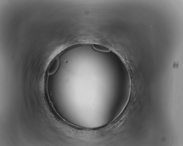 X0000094380008200711091611