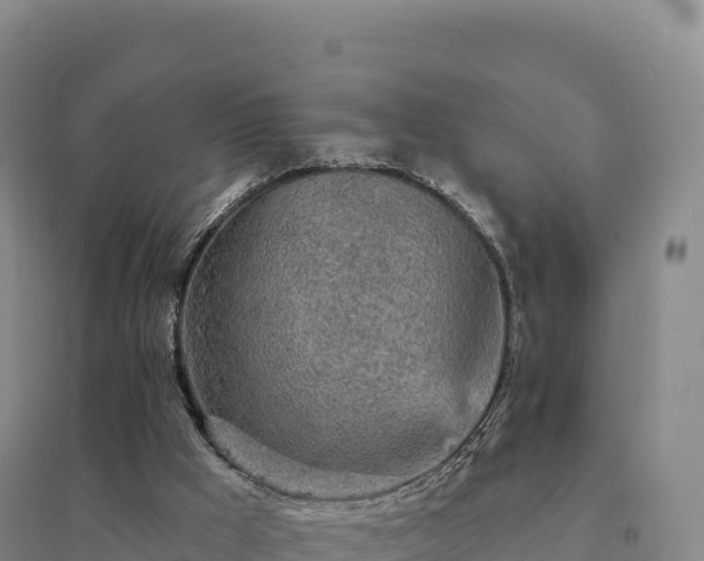 X0000094380009200711091611