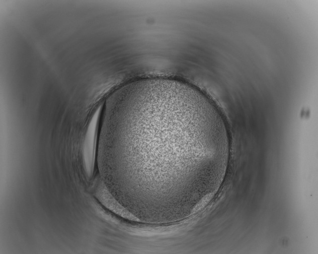 X0000094380017200711091611