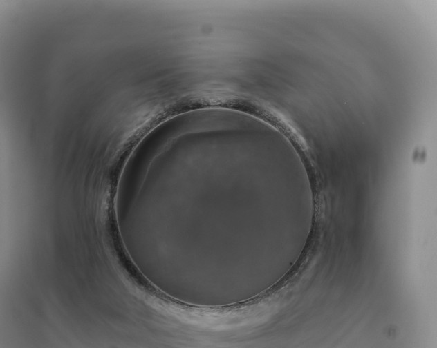 X0000094380018200711091611
