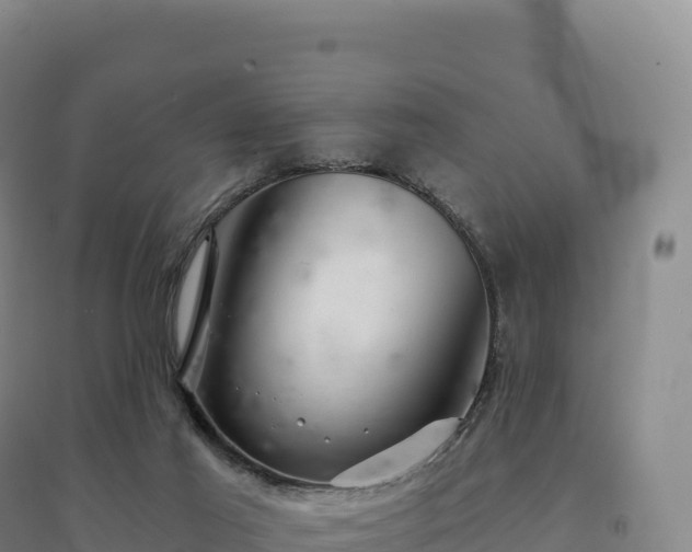 X0000094380021200711091611