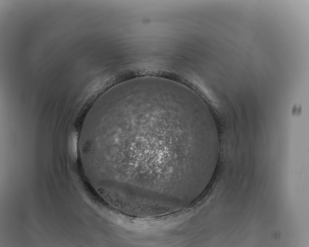 X0000094380022200711091611