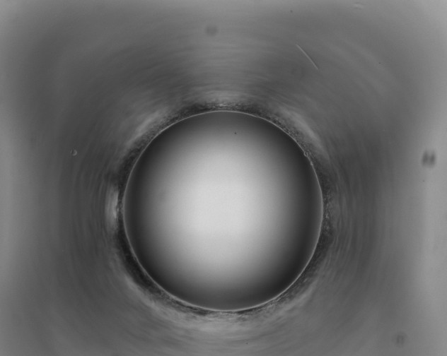 X0000094380024200711091611