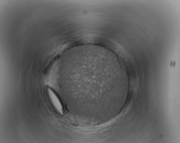 X0000094380029200711091611