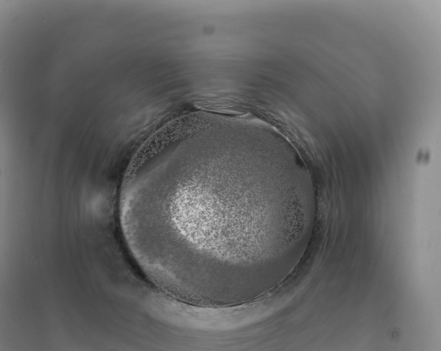 X0000094380030200711091611