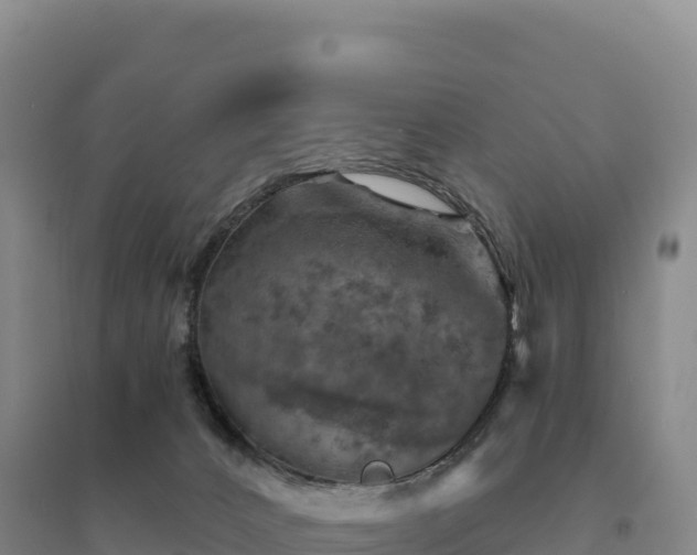 X0000094380032200711091611