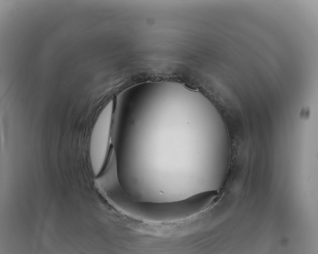 X0000094380033200711091611