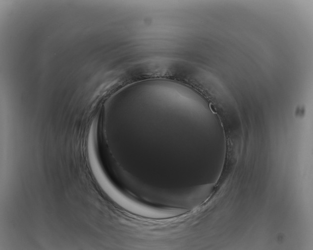 X0000094380035200711091611