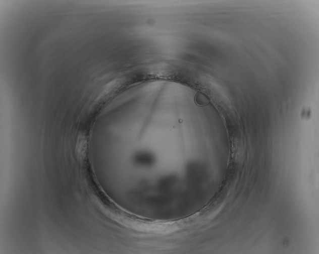 X0000094380036200711091611