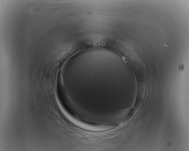 X0000094380039200711091611