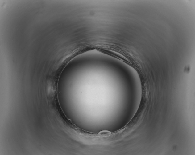 X0000094380040200711091611