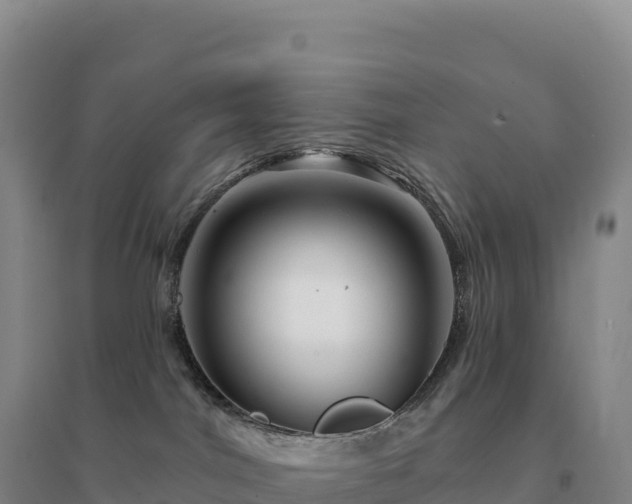 X0000094380044200711091611