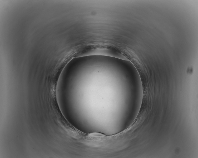 X0000094380045200711091611