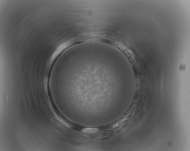 X0000094380051200711091610