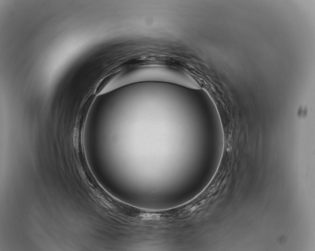 X0000094380052200711091610