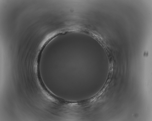 X0000094380054200711091610