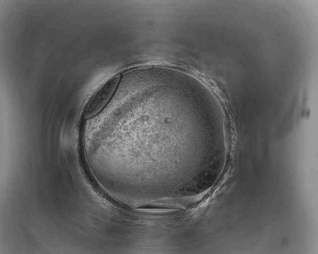 X0000094380055200711091610
