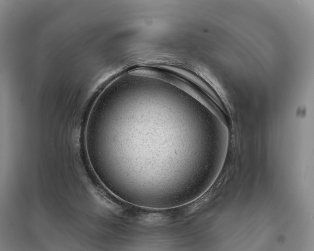 X0000094380058200711091610