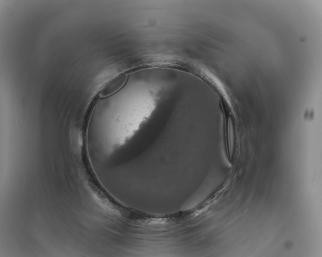 X0000094380059200711091610