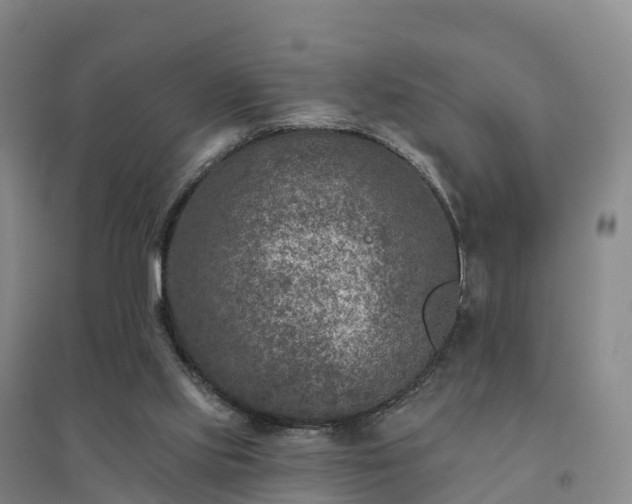 X0000094380061200711091610