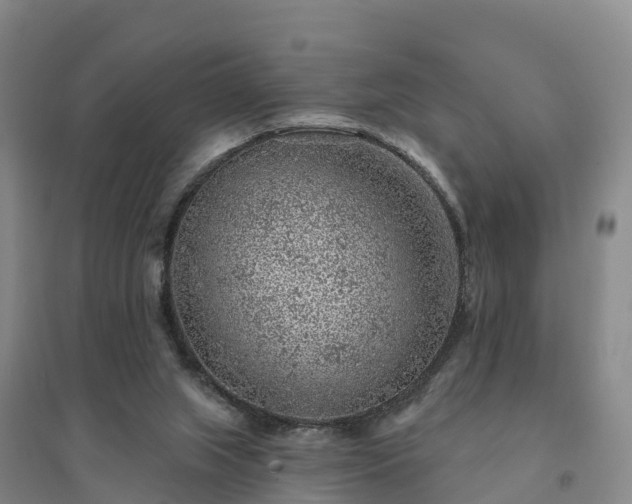 X0000094380063200711091610