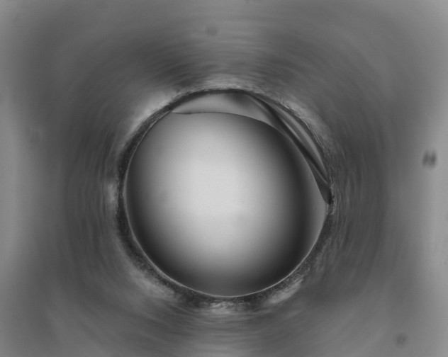X0000094380064200711091610