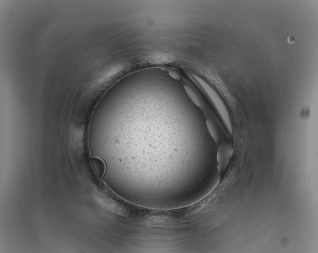 X0000094380066200711091610
