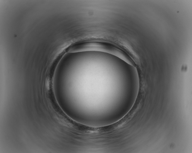 X0000094380068200711091611