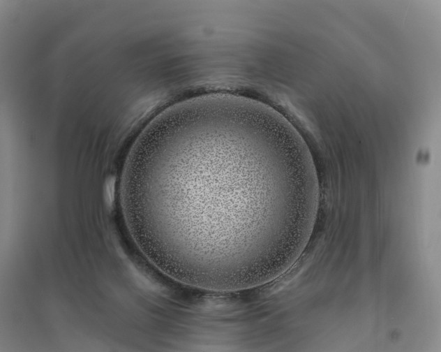 X0000094380070200711091611