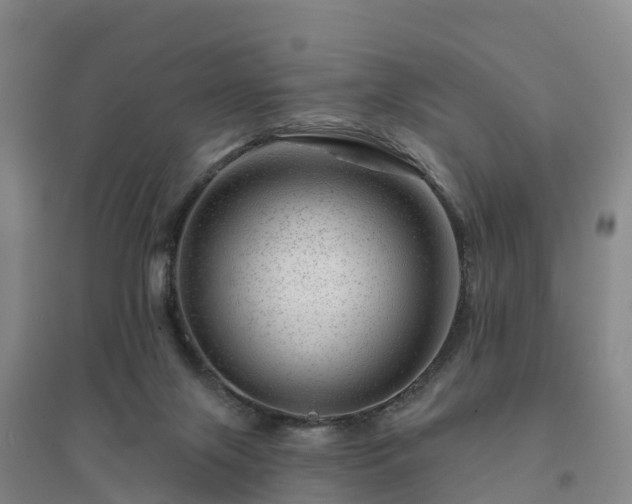 X0000094380071200711091611